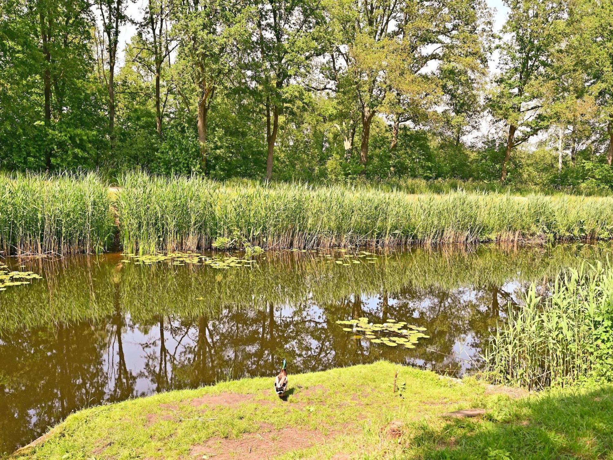 Chalet With Gorgeous View Of The Natural Surroundings Weerselo المظهر الخارجي الصورة